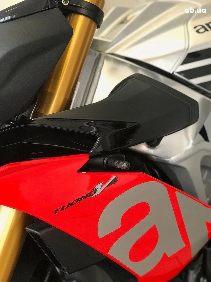 Aprilia Tuono Image 6